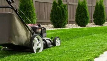Jardinería